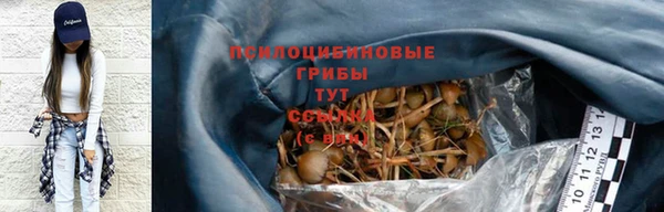герыч Вяземский