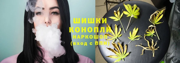 сатива Вязники