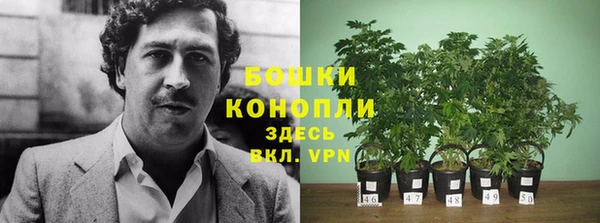 дурь Вязьма
