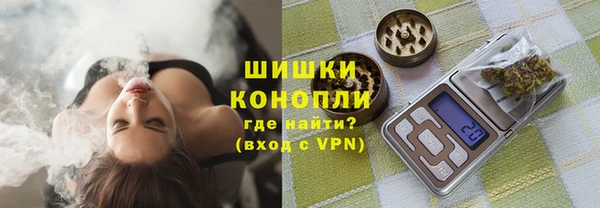 сатива Вязники