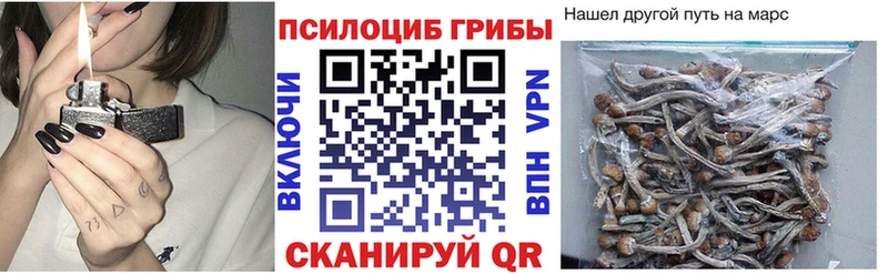 магазин продажи   Шахты  Псилоцибиновые грибы Magic Shrooms 